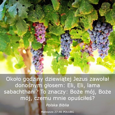 Picture 03 - Mateusza 27:46 POLUBG - Około godziny dziewiątej Jezus zawołał - Bible Verse Picture