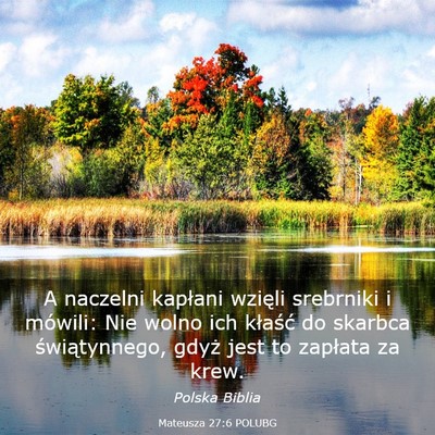 Picture 03 - Mateusza 27:6 POLUBG - A naczelni kapłani wzięli srebrniki i mówili: - Bible Verse Picture