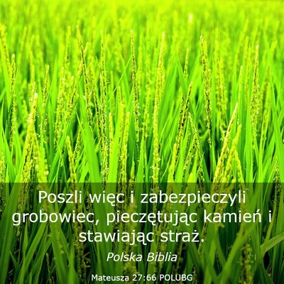 Picture 03 - Mateusza 27:66 POLUBG - Poszli więc i zabezpieczyli grobowiec, - Bible Verse Picture