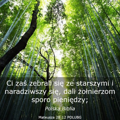 Picture 03 - Mateusza 28:12 POLUBG - Ci zaś zebrali się ze starszymi i naradziwszy - Bible Verse Picture