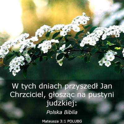 Picture 03 - Mateusza 3:1 POLUBG - W tych dniach przyszedł Jan Chrzciciel, - Bible Verse Picture