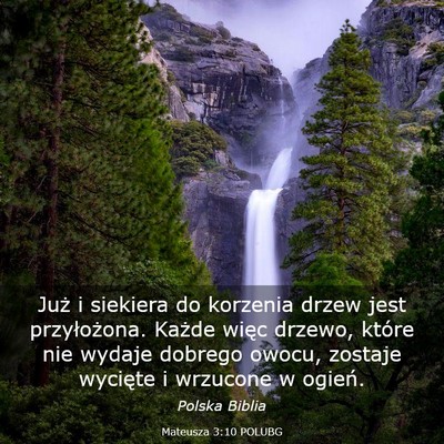 Picture 03 - Mateusza 3:10 POLUBG - Już i siekiera do korzenia drzew jest - Bible Verse Picture