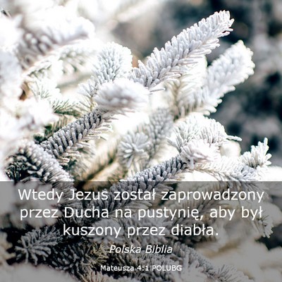Picture 03 - Mateusza 4:1 POLUBG - Wtedy Jezus został zaprowadzony przez Ducha na - Bible Verse Picture