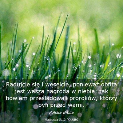 Picture 03 - Mateusza 5:12 POLUBG - Radujcie się i weselcie, ponieważ obfita jest - Bible Verse Picture