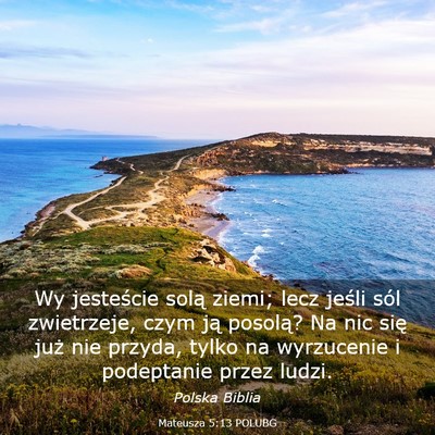 Picture 03 - Mateusza 5:13 POLUBG - Wy jesteście solą ziemi; lecz jeśli sól - Bible Verse Picture