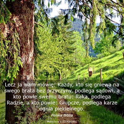 Picture 03 - Mateusza 5:22 POLUBG - Lecz ja wam mówię: Każdy, kto się gniewa na - Bible Verse Picture