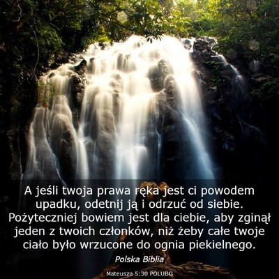 Picture 03 - Mateusza 5:30 POLUBG - A jeśli twoja prawa ręka jest ci powodem - Bible Verse Picture