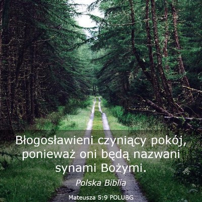 Picture 03 - Mateusza 5:9 POLUBG - Błogosławieni czyniący pokój, ponieważ oni - Bible Verse Picture