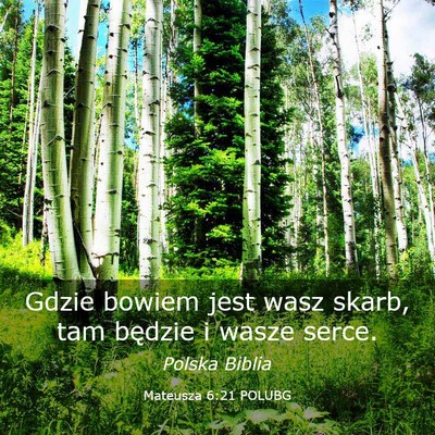 Picture 03 - Mateusza 6:21 POLUBG - Gdzie bowiem jest wasz skarb, tam będzie i wasze - Bible Verse Picture