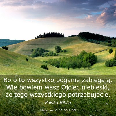 Picture 03 - Mateusza 6:32 POLUBG - Bo o to wszystko poganie zabiegają. Wie bowiem - Bible Verse Picture