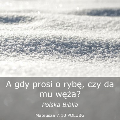 Picture 03 - Mateusza 7:10 POLUBG - A gdy prosi o rybę, czy da mu - Bible Verse Picture