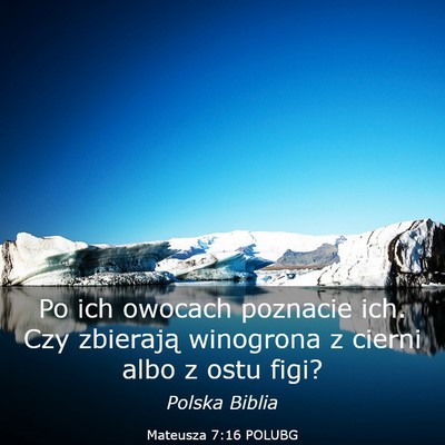 Picture 03 - Mateusza 7:16 POLUBG - Po ich owocach poznacie ich. Czy zbierają - Bible Verse Picture