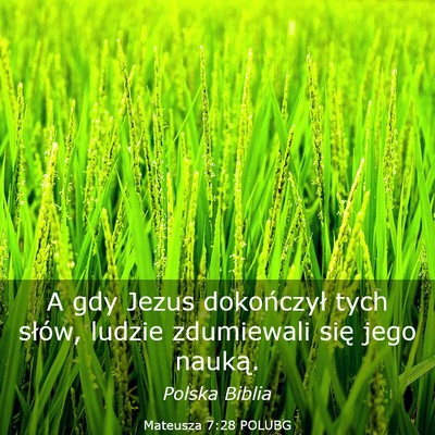 Picture 03 - Mateusza 7:28 POLUBG - A gdy Jezus dokończył tych słów, ludzie - Bible Verse Picture