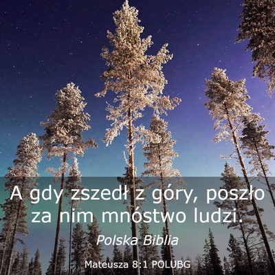Picture 03 - Mateusza 8:1 POLUBG - A gdy zszedł z góry, poszło za nim mnóstwo - Bible Verse Picture