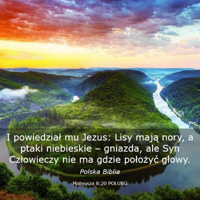 Picture 03 - Mateusza 8:20 POLUBG - I powiedział mu Jezus: Lisy mają nory, a ptaki - Bible Verse Picture
