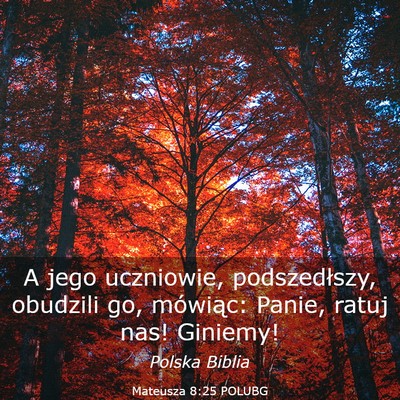 Picture 03 - Mateusza 8:25 POLUBG - A jego uczniowie, podszedłszy, obudzili go, - Bible Verse Picture