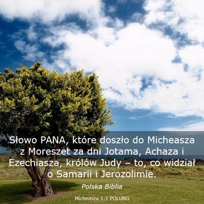 Picture 03 - Micheasza 1:1 POLUBG - Słowo PANA, które doszło do Micheasza z - Bible Verse Picture