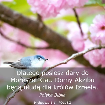 Picture 03 - Micheasza 1:14 POLUBG - Dlatego poślesz dary do Moreszet-Gat. Domy - Bible Verse Picture