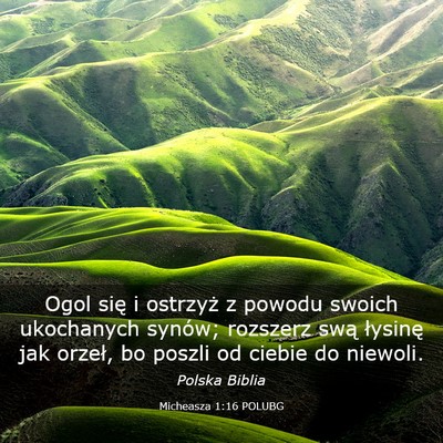 Picture 03 - Micheasza 1:16 POLUBG - Ogol się i ostrzyż z powodu swoich ukochanych - Bible Verse Picture