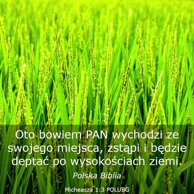 Picture 03 - Micheasza 1:3 POLUBG - Oto bowiem PAN wychodzi ze swojego miejsca, - Bible Verse Picture