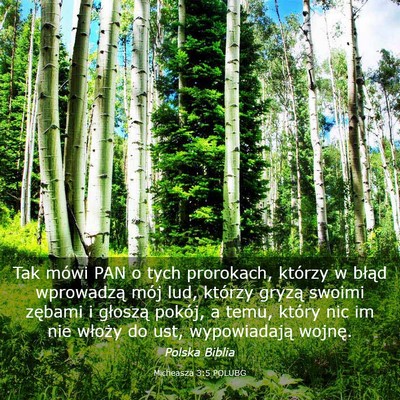 Picture 03 - Micheasza 3:5 POLUBG - Tak mówi PAN o tych prorokach, którzy w błąd - Bible Verse Picture