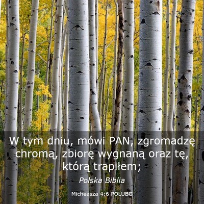 Picture 03 - Micheasza 4:6 POLUBG - W tym dniu, mówi PAN, zgromadzę chromą, - Bible Verse Picture