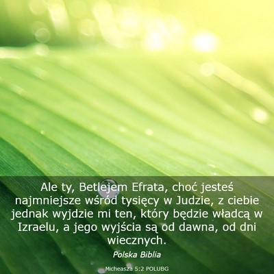 Picture 03 - Micheasza 5:2 POLUBG - Ale ty, Betlejem Efrata, choć jesteś - Bible Verse Picture