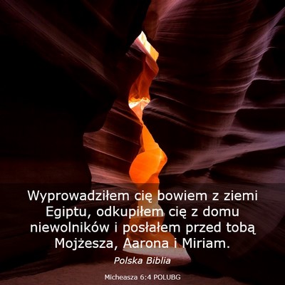 Picture 03 - Micheasza 6:4 POLUBG - Wyprowadziłem cię bowiem z ziemi Egiptu, - Bible Verse Picture