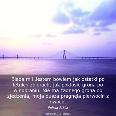 Picture 03 - Micheasza 7:1 POLUBG - Biada mi! Jestem bowiem jak ostatki po letnich - Bible Verse Picture