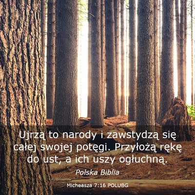 Picture 03 - Micheasza 7:16 POLUBG - Ujrzą to narody i zawstydzą się całej swojej - Bible Verse Picture