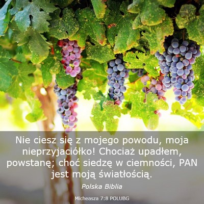 Picture 03 - Micheasza 7:8 POLUBG - Nie ciesz się z mojego powodu, moja - Bible Verse Picture