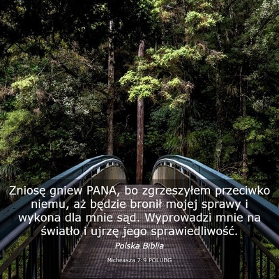 Picture 03 - Micheasza 7:9 POLUBG - Zniosę gniew PANA, bo zgrzeszyłem przeciwko - Bible Verse Picture