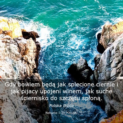 Picture 03 - Nahuma 1:10 POLUBG - Gdy bowiem będą jak splecione ciernie i jak - Bible Verse Picture