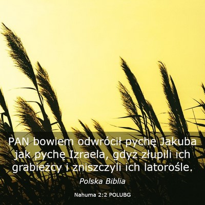 Picture 03 - Nahuma 2:2 POLUBG - PAN bowiem odwrócił pychę Jakuba jak pychę - Bible Verse Picture
