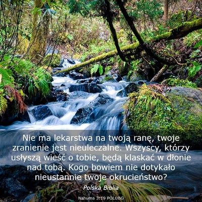 Picture 03 - Nahuma 3:19 POLUBG - Nie ma lekarstwa na twoją ranę, twoje zranienie - Bible Verse Picture