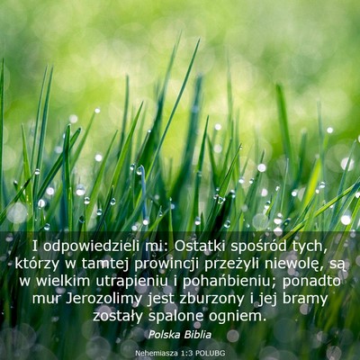 Picture 03 - Nehemiasza 1:3 POLUBG - I odpowiedzieli mi: Ostatki spośród tych, - Bible Verse Picture