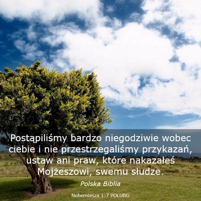 Picture 03 - Nehemiasza 1:7 POLUBG - Postąpiliśmy bardzo niegodziwie wobec ciebie i - Bible Verse Picture