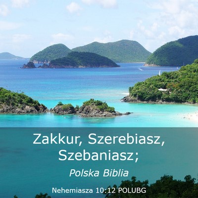 Picture 03 - Nehemiasza 10:12 POLUBG - Zakkur, Szerebiasz, - Bible Verse Picture