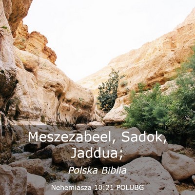 Picture 03 - Nehemiasza 10:21 POLUBG - Meszezabeel, Sadok, - Bible Verse Picture