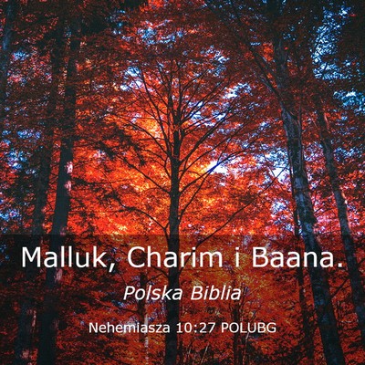 Picture 03 - Nehemiasza 10:27 POLUBG - Malluk, Charim i - Bible Verse Picture