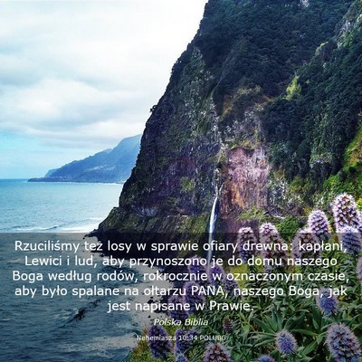 Picture 03 - Nehemiasza 10:34 POLUBG - Rzuciliśmy też losy w sprawie ofiary drewna: - Bible Verse Picture