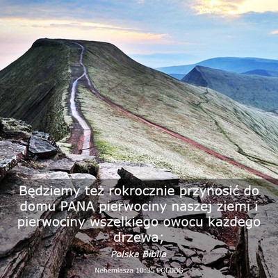 Picture 03 - Nehemiasza 10:35 POLUBG - Będziemy też rokrocznie przynosić do domu PANA - Bible Verse Picture