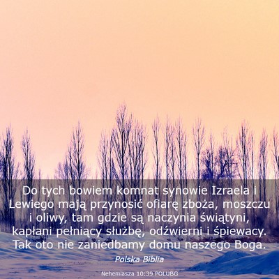 Picture 03 - Nehemiasza 10:39 POLUBG - Do tych bowiem komnat synowie Izraela i Lewiego - Bible Verse Picture