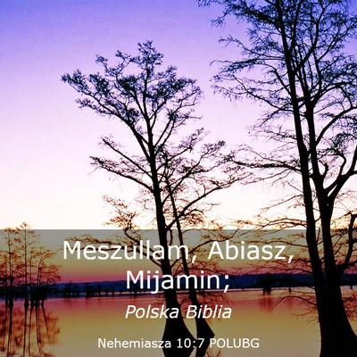 Picture 03 - Nehemiasza 10:7 POLUBG - Meszullam, Abiasz, - Bible Verse Picture