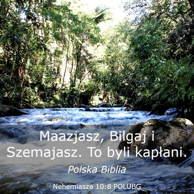 Picture 03 - Nehemiasza 10:8 POLUBG - Maazjasz, Bilgaj i Szemajasz. To byli - Bible Verse Picture