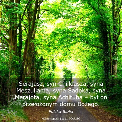 Picture 03 - Nehemiasza 11:11 POLUBG - Serajasz, syn Chilkiasza, syna Meszullama, syna - Bible Verse Picture