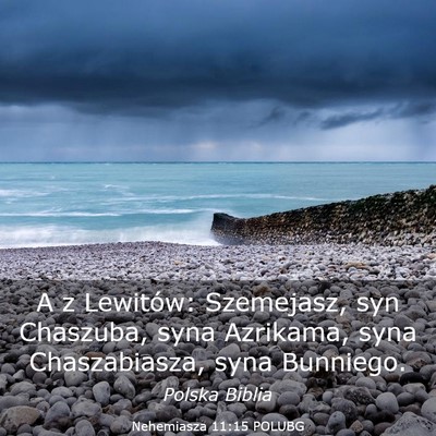 Picture 03 - Nehemiasza 11:15 POLUBG - A z Lewitów: Szemejasz, syn Chaszuba, syna - Bible Verse Picture