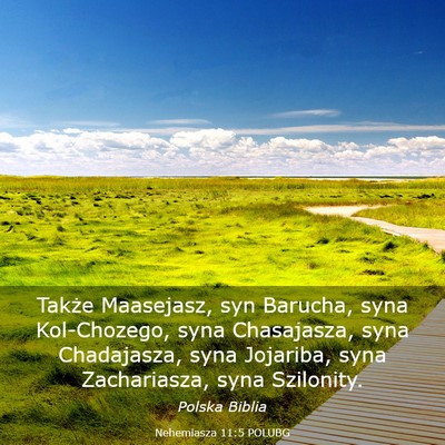 Picture 03 - Nehemiasza 11:5 POLUBG - Także Maasejasz, syn Barucha, syna Kol-Chozego, - Bible Verse Picture