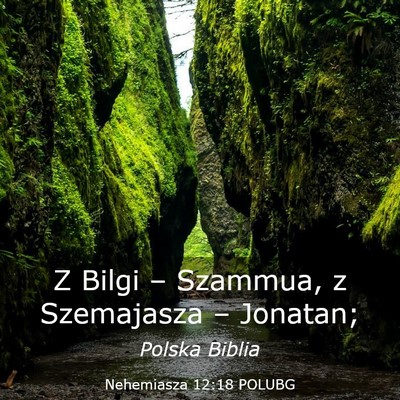 Picture 03 - Nehemiasza 12:18 POLUBG - Z Bilgi – Szammua, z Szemajasza – - Bible Verse Picture