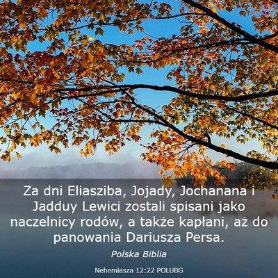 Picture 03 - Nehemiasza 12:22 POLUBG - Za dni Eliasziba, Jojady, Jochanana i Jadduy - Bible Verse Picture